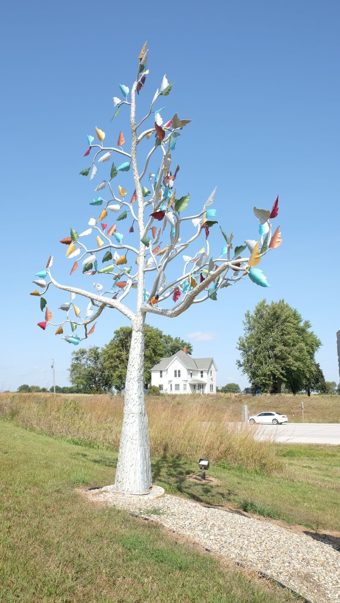 Malvern's welcome tree